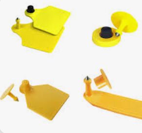 TPU الحصى تصنيع السعر صلابة 90 95A لون مخصص لعلامة الأذن للحيوانات